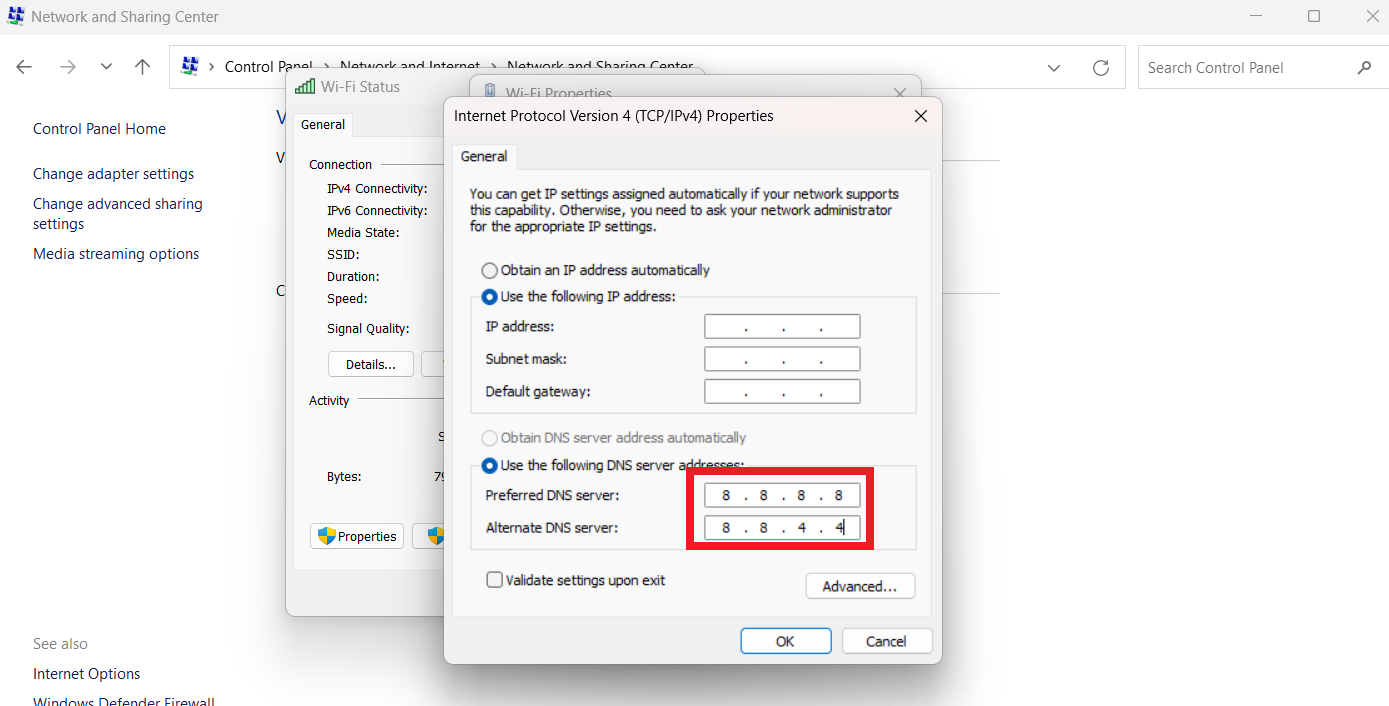 Use the following DNS Server Address