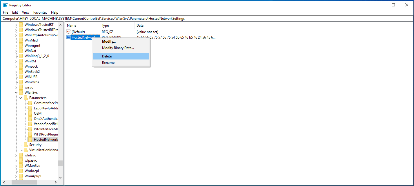 Select Delete to delete the HostedNetworkSettings entry.