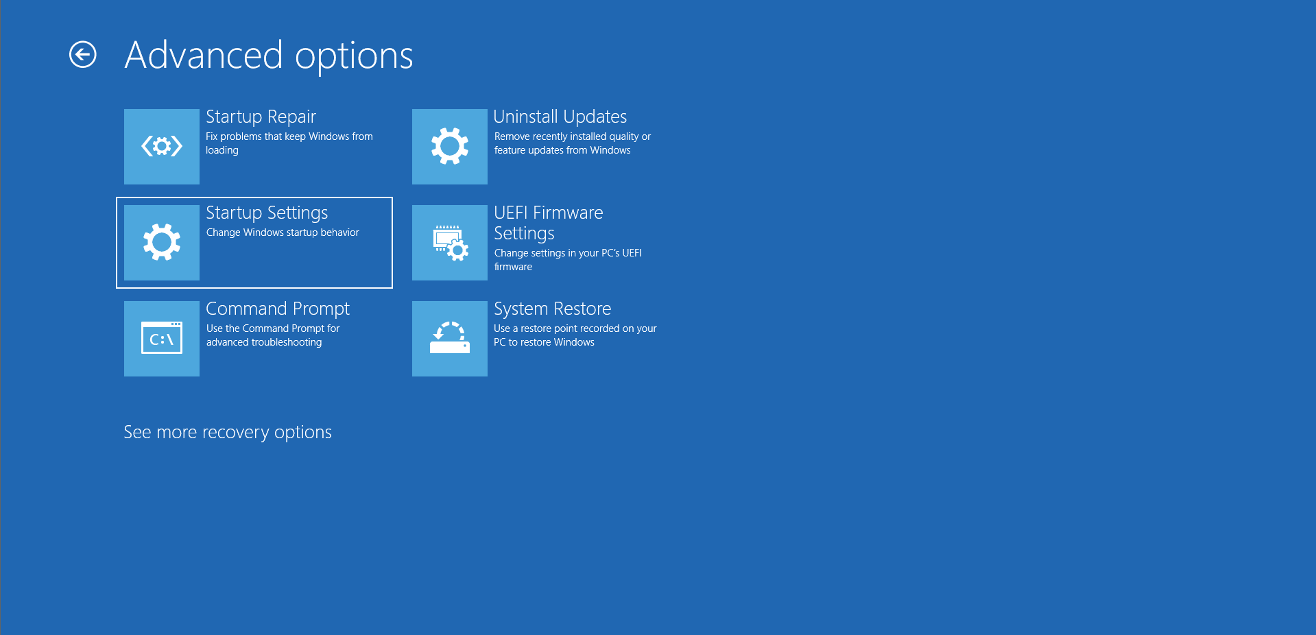 Select Startup Settings.