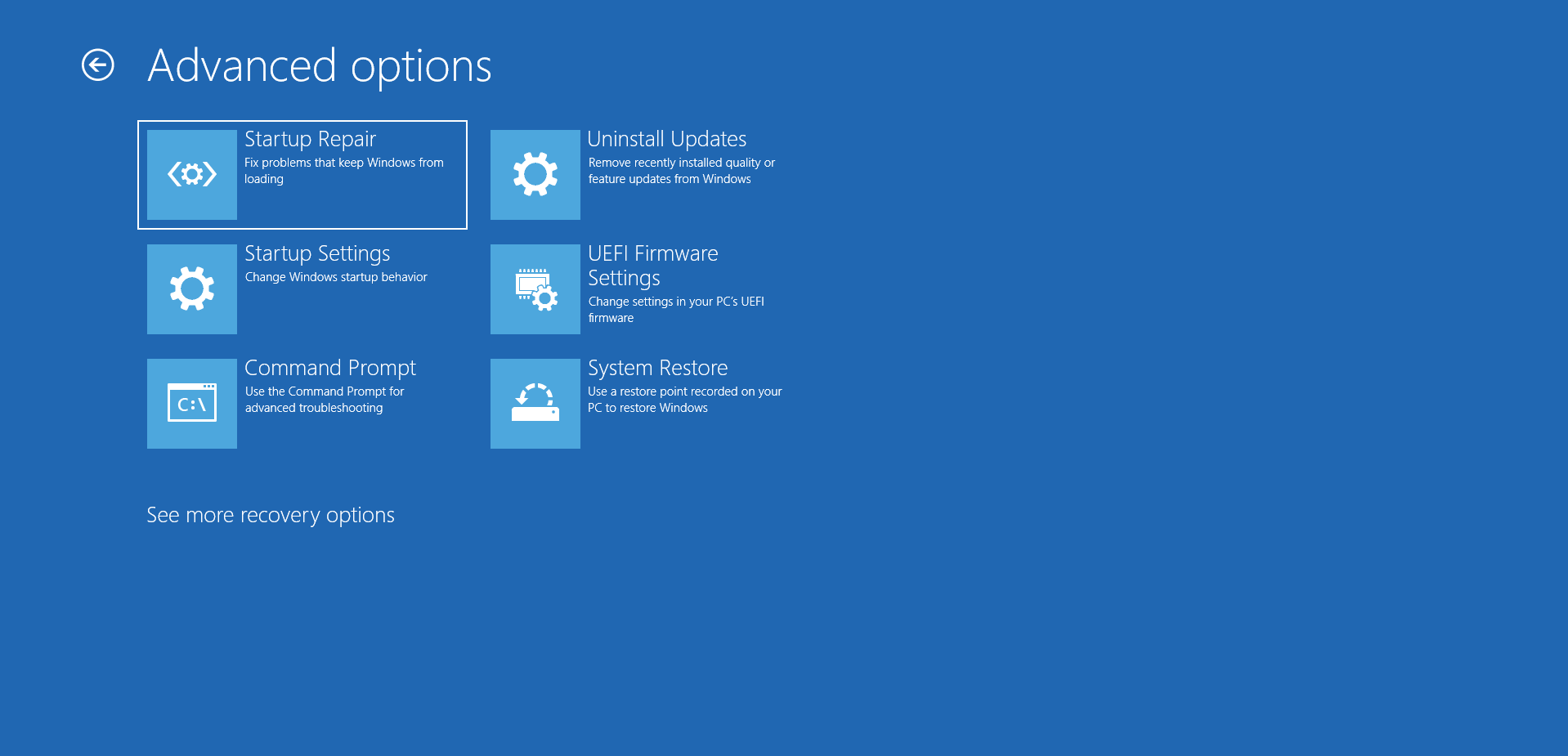 Go to Advanced options > Startup Settings.