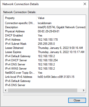 Click Network Connection Details.