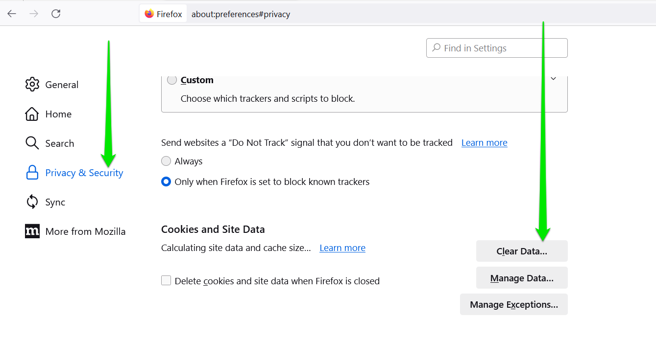 Firefox privacy and security clear data