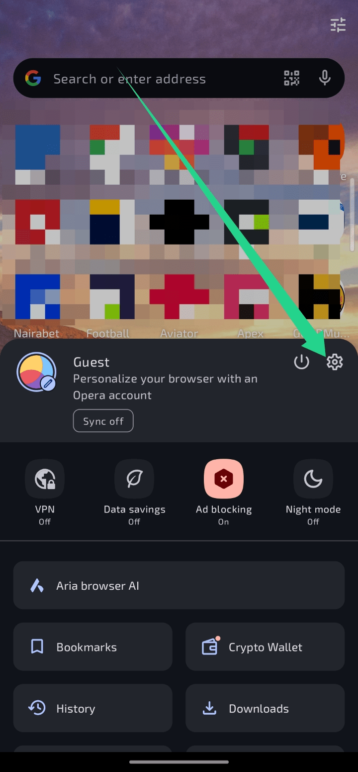 Opera Settings mobile