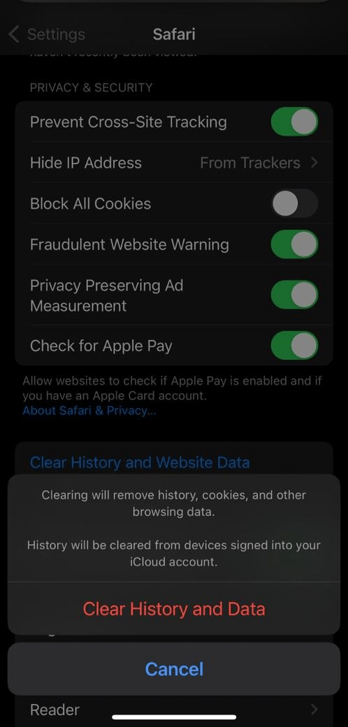 Safari clear history and data