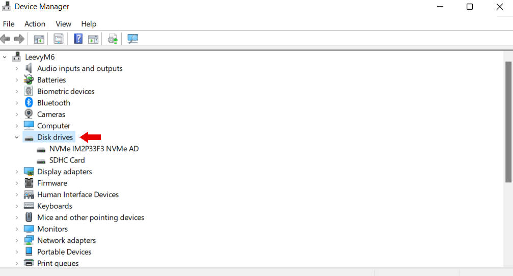 device manager disk drives